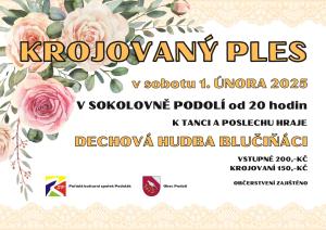 Krojovaný ples v Podolí 1
